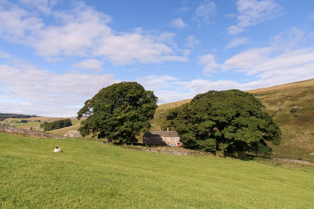 Cowside from afar in the Yorkshire Dales. 