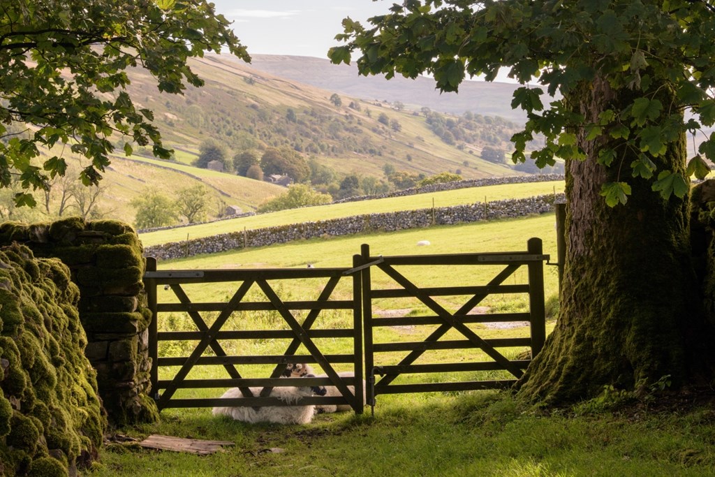 The gates of Cowside in the Yorkshire Dales. 