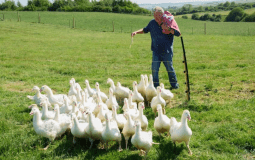 First-Look ‘Clarkson’s Farm’ Series Five Trailer Has Been Released
