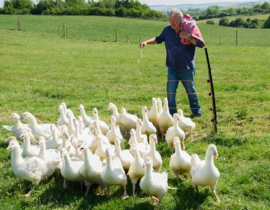 First-Look ‘Clarkson’s Farm’ Series Five Trailer Has Been Released