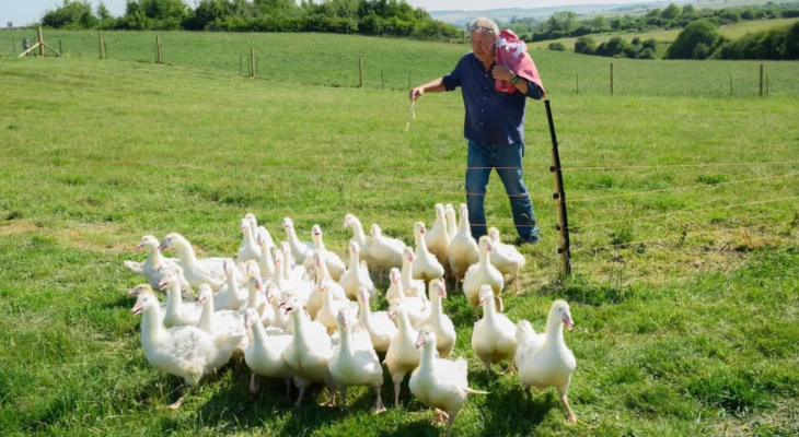 First-Look ‘Clarkson’s Farm’ Series Five Trailer Has Been Released