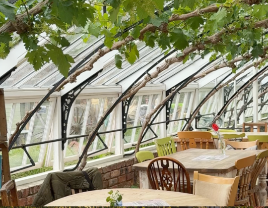 This Yorkshire Cafe Sits Beneath A Huge Grape Vine