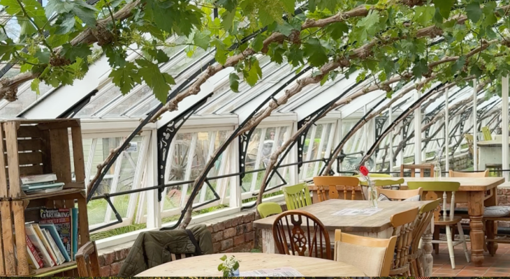 This Yorkshire Cafe Sits Beneath A Huge Grape Vine