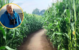 Europe’s Biggest Maze Unveils Giant Sir David Attenborough Maze To Celebrate His 100th Birthday