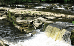 Yorkshire Beauty Spot Named Among 13 Approved New Bathing Spots Across England