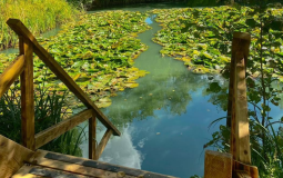 This Viral Wild Swimming Spot Is Just 10 Minutes From York City Centre