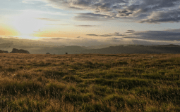 5 Memorable Things to Do in the North York Moors National Park