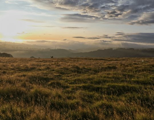 5 Memorable Things to Do in the North York Moors National Park