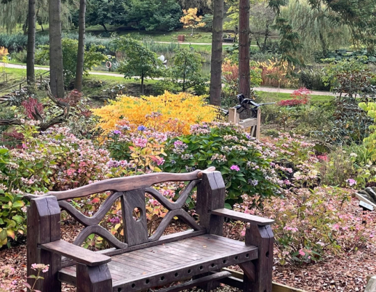 The Mystical North Yorkshire Park Inspired by the Himalayas