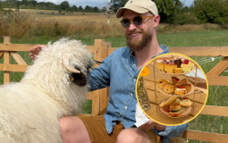 This Afternoon Tea With Sheep In Yorkshire Is An Absolute Gem