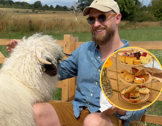 This Afternoon Tea With Sheep In Yorkshire Is An Absolute Gem