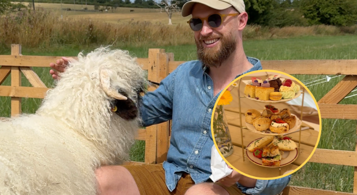 This Afternoon Tea With Sheep In Yorkshire Is An Absolute Gem