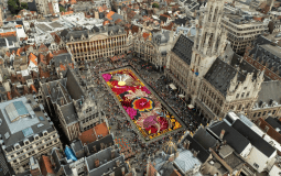 World Famous Flower Carpet To Have Its UK Debut In Yorkshire