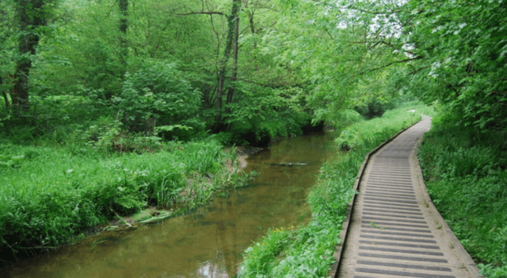 This Magical Woodland Near Scarborough Is About to Become Your New Favourite Autumn Walk
