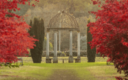 This Stunning Autumn Wonderland In North Yorkshire Helps You Reconnect With Nature