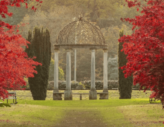 This Stunning Autumn Wonderland In North Yorkshire Helps You Reconnect With Nature