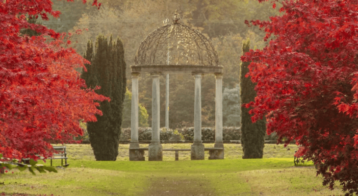 This Stunning Autumn Wonderland In North Yorkshire Helps You Reconnect With Nature