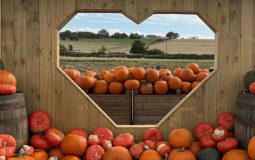 Yorkshire’s Ultimate Pumpkin Festival Is Back – And It’s Bigger Than Ever