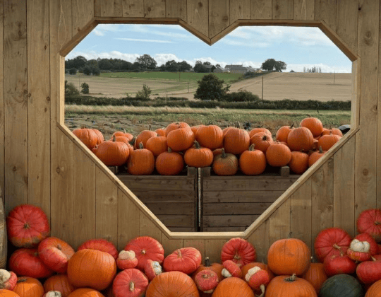Yorkshire’s Ultimate Pumpkin Festival Is Back – And It’s Bigger Than Ever
