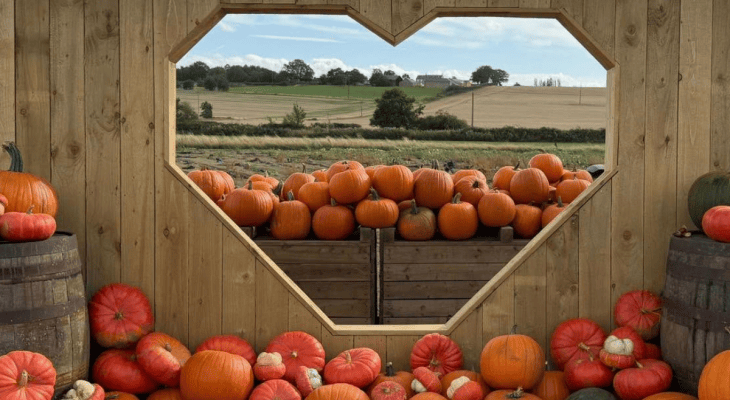Yorkshire’s Ultimate Pumpkin Festival Is Back – And It’s Bigger Than Ever