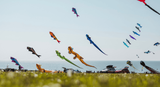 Filey Kite Festival To Showcase The World’s Biggest Inflatables