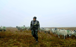 ‘Our Farm Next Door’ Returns For Series Four With Amanda, Clive & Kids
