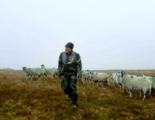 ‘Our Farm Next Door’ Returns For Series Four With Amanda, Clive & Kids