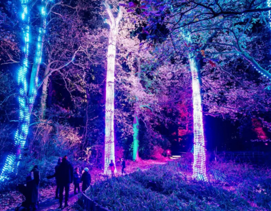 10 Of The Best Things To Do In Yorkshire This November