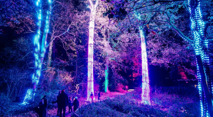 10 Of The Best Things To Do In Yorkshire This November